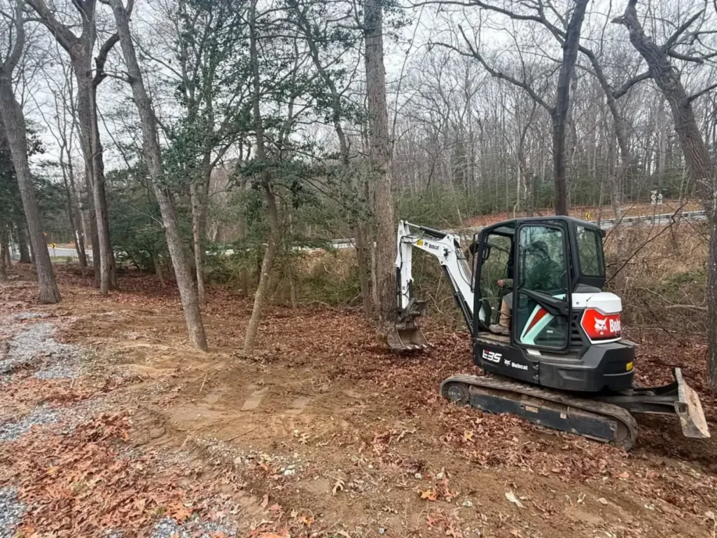 Bobcat mini excavator clearing a wooded lot
