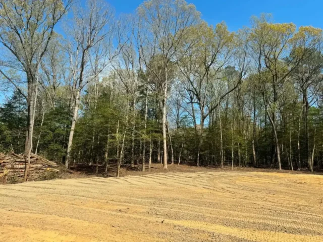 Freshly graded lot along a tree line