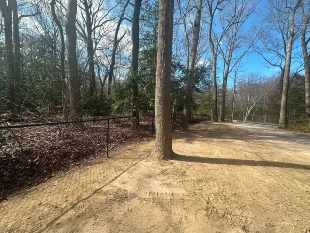 Graded access path through the woods beside a fence
