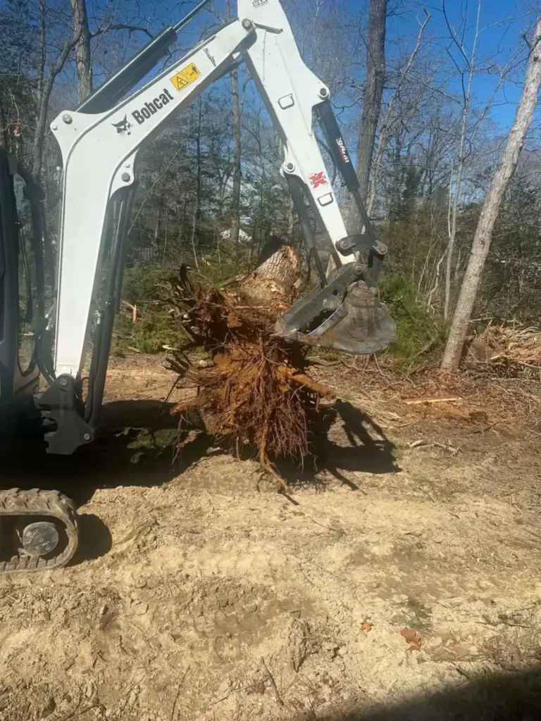 Excavator lifting a tree stump out of the ground